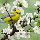 Puzzle - Nova puzzle - Primavera sta arrivando